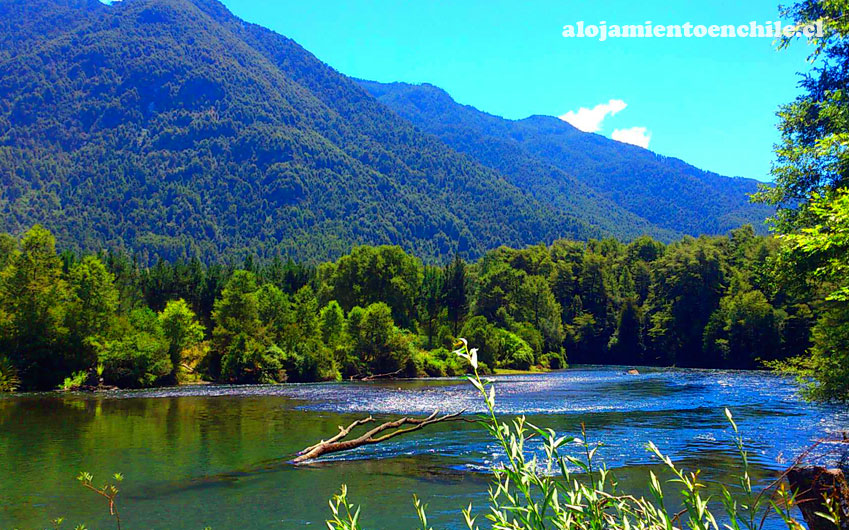 Cabañas Los Canelos – Pucón