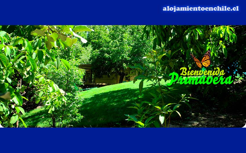 Cabañas Nogalia – Cajón del Maipo