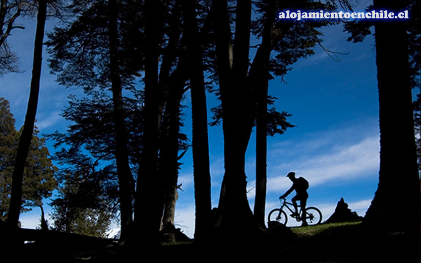 Hotel Alto Melimoyu – Aysén