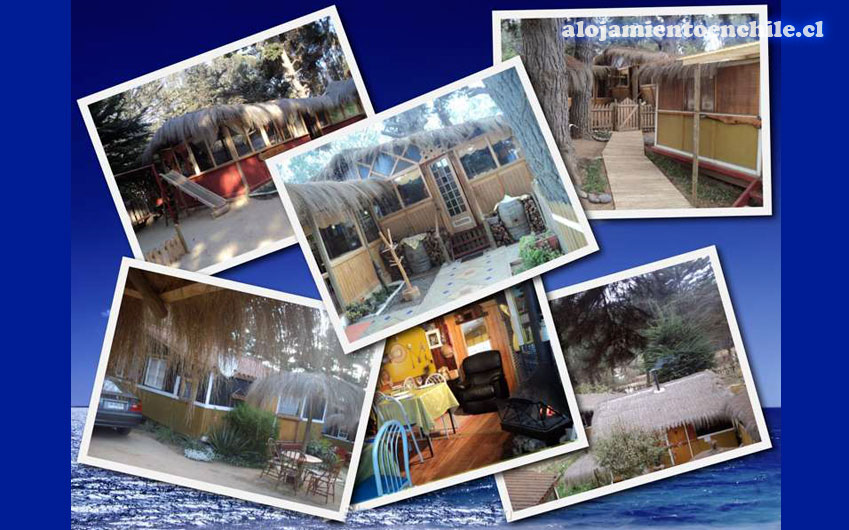 Cabañas Pinares – Isla Negra