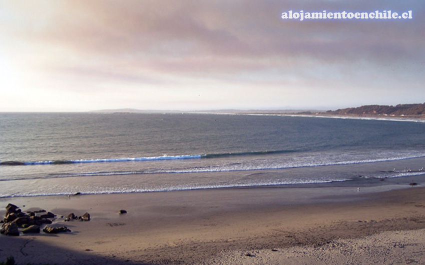 Cabañas Pinguino en la roca – Concón