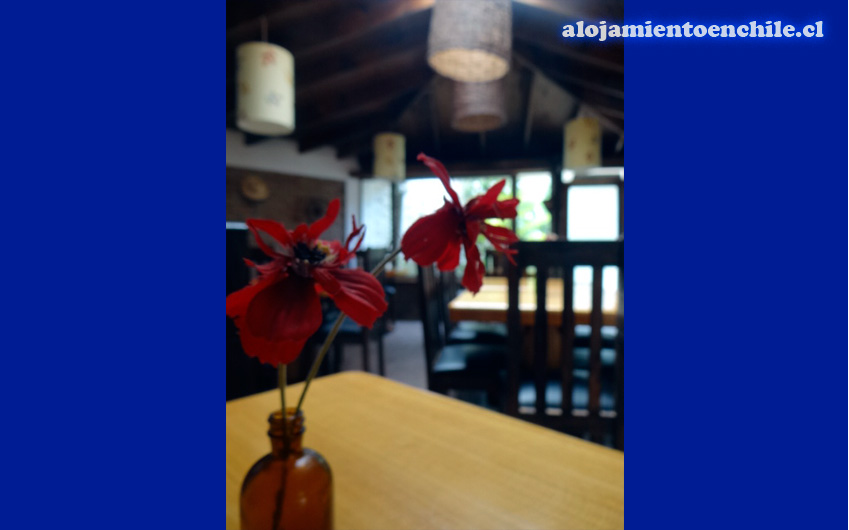 Hostal Palos – Concón