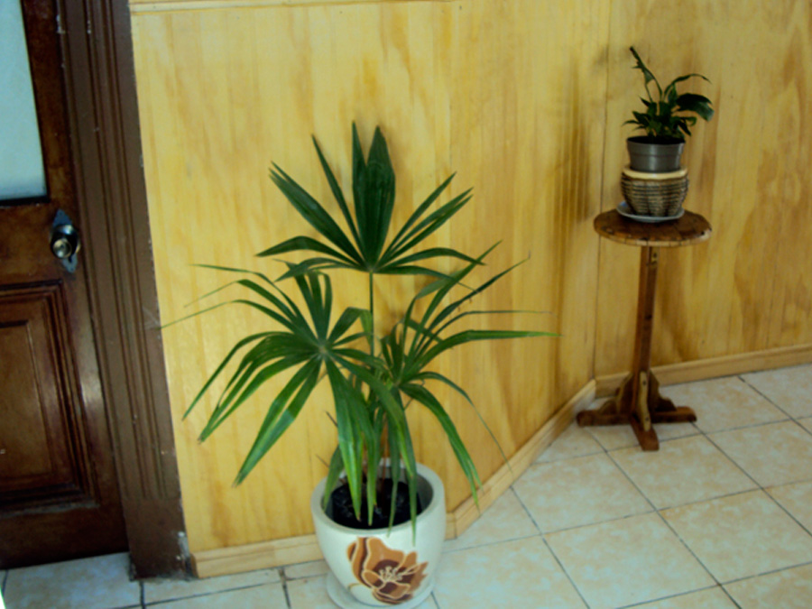 Hostal Pleno Valpo – Vaparaíso